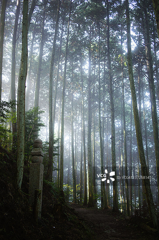 长石道图片素材