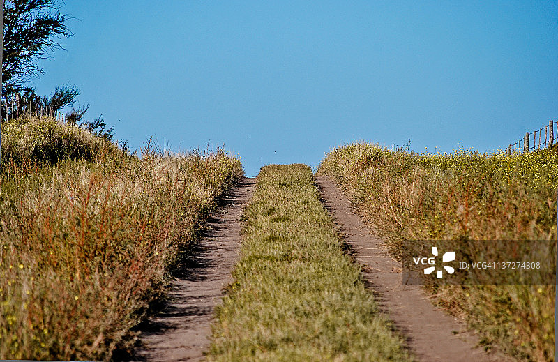 轮胎印迹图片素材