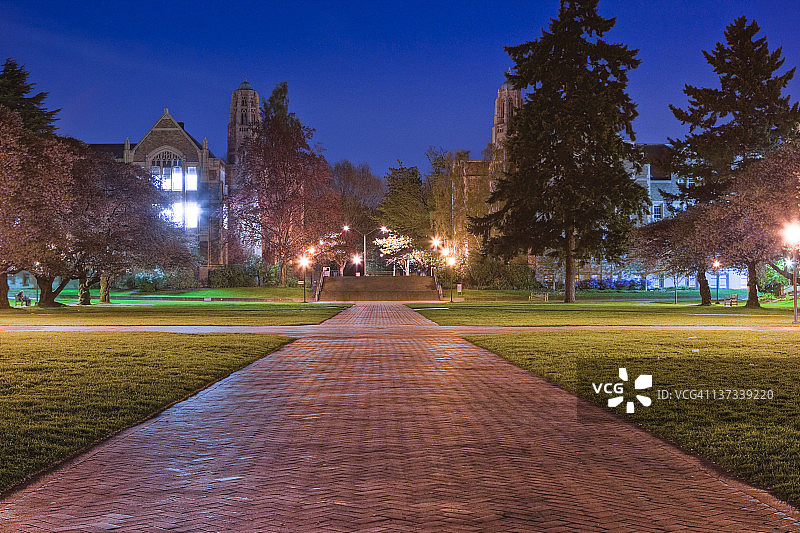 华盛顿大学四方广场夜景图片素材