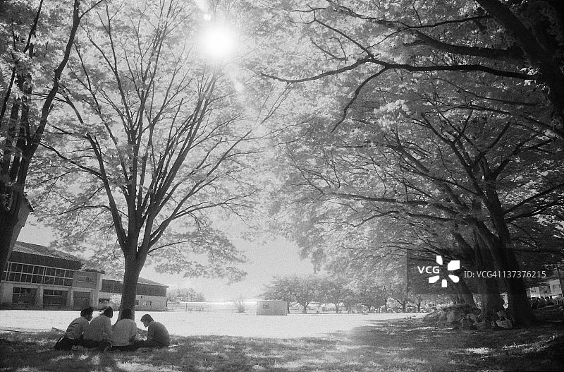 午餐时间图片素材