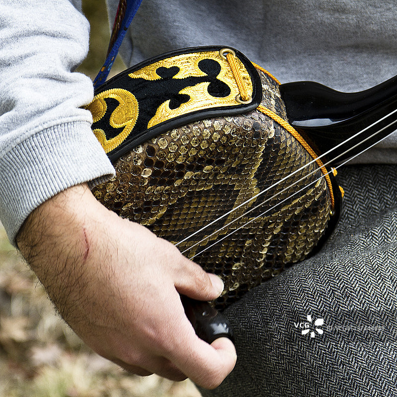 男人演奏日本三味线图片素材