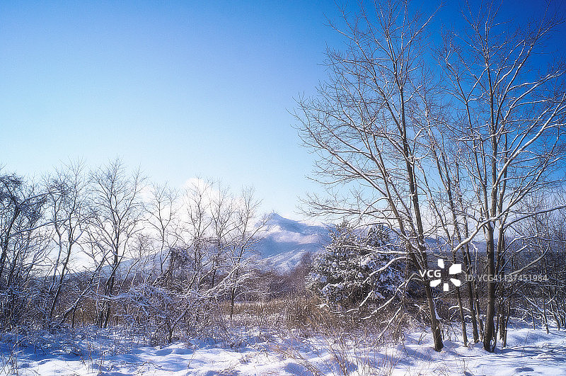 冬季风景图片素材