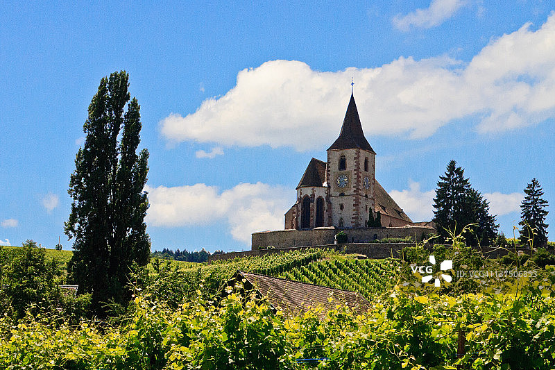 葡萄园中的教堂图片素材