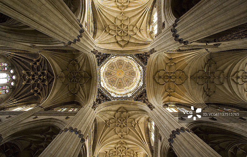“新大教堂”的壮丽拱顶和穹顶图片素材
