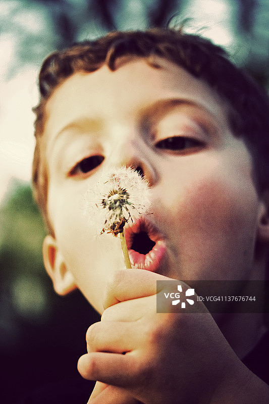 男孩吹蒲公英花图片素材