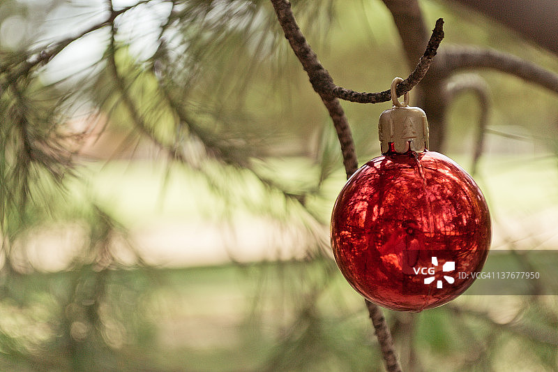 圣诞球图片素材