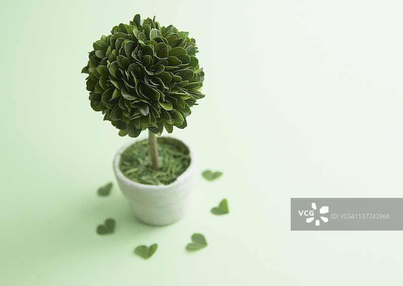 室内植物图片素材