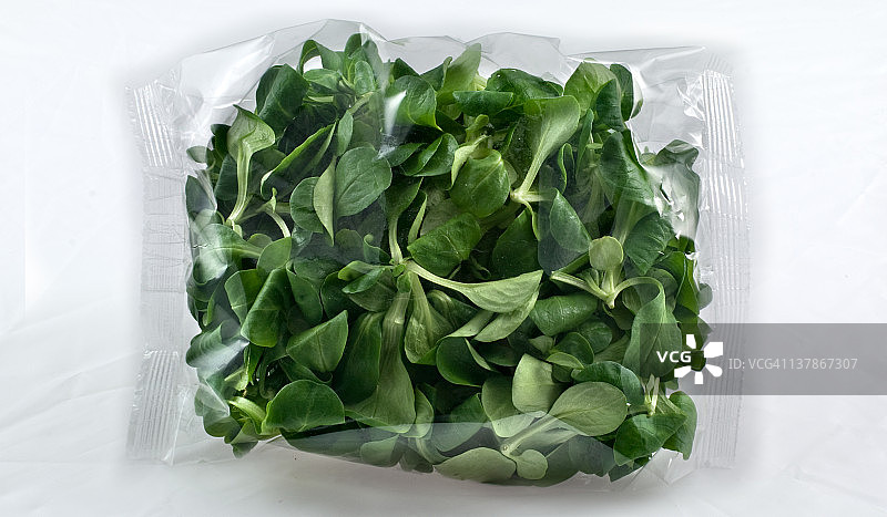 松奇诺沙拉图片素材