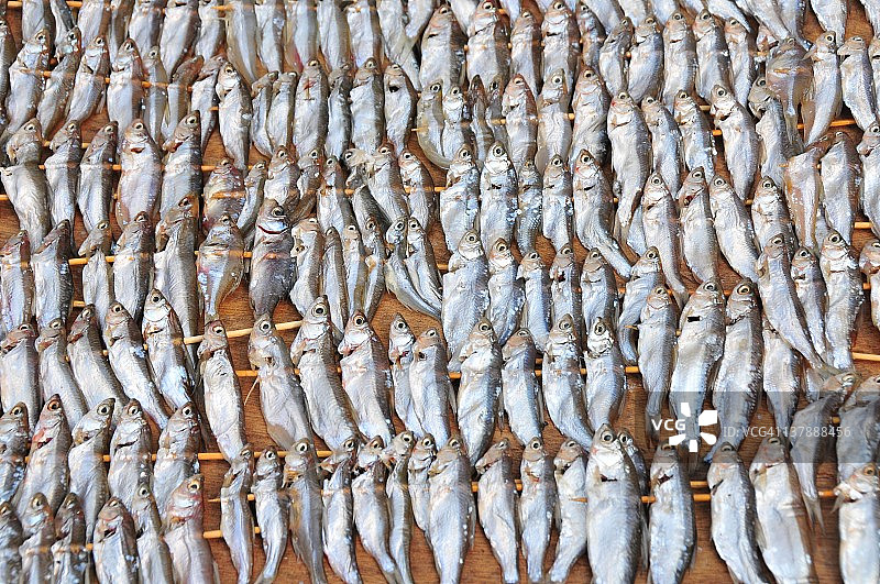 鱼干条图片素材