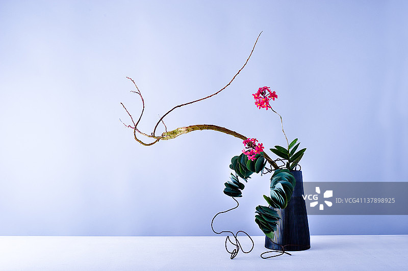 插花图片素材