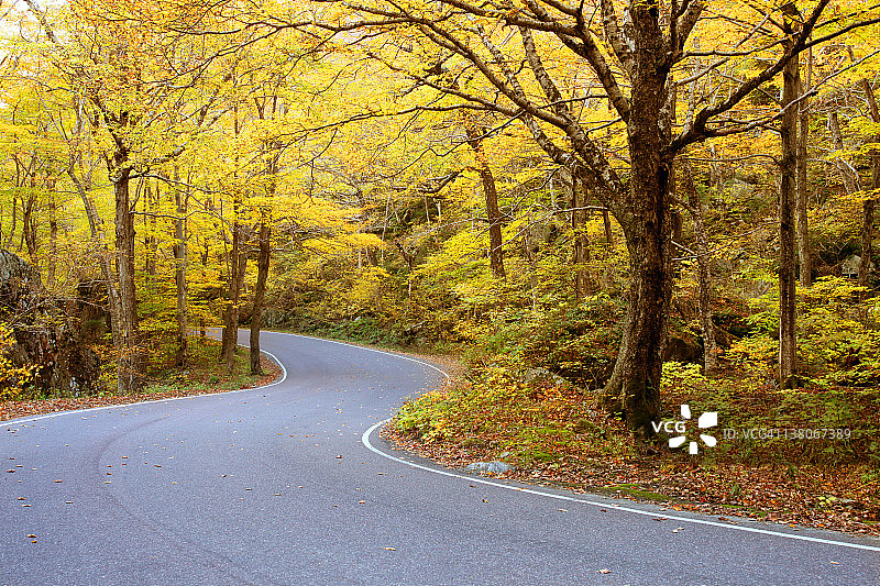 佛蒙特州的秋叶图片素材
