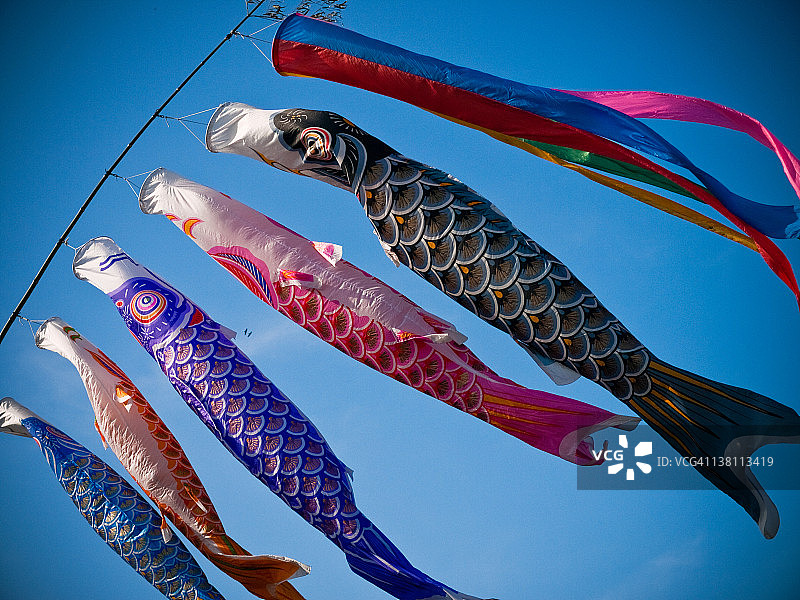 Koinobori在排队图片素材