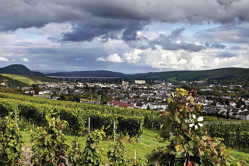 德国莱茵兰-普法尔茨巴特诺因阿尔-阿尔韦勒：红酒徒步小径，葡萄园里成串的葡萄图片素材