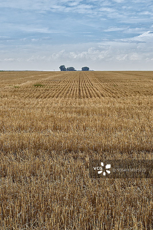 天空下的田野图片素材