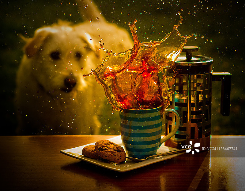 饼干飞溅图片素材