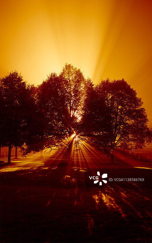 雾中日出图片素材