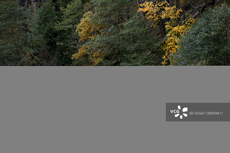 男人在钓鱼图片素材