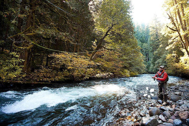 在俄勒冈小溪中进行飞蝇钓鱼图片素材
