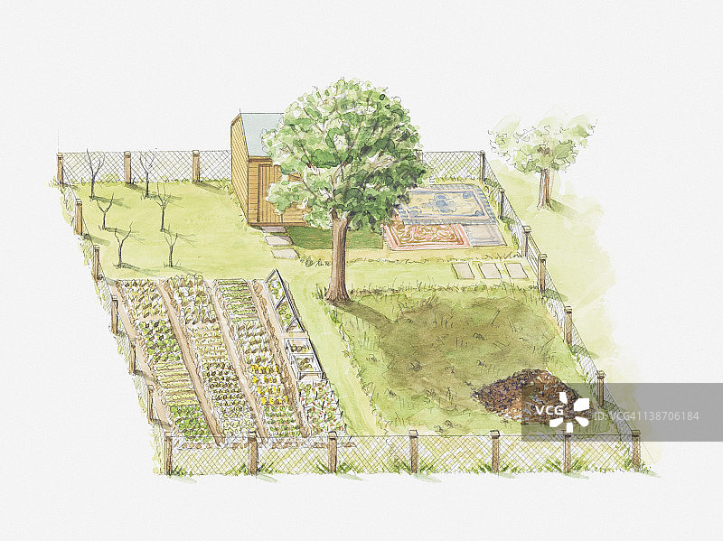 第一年的厨房花园插画图片素材