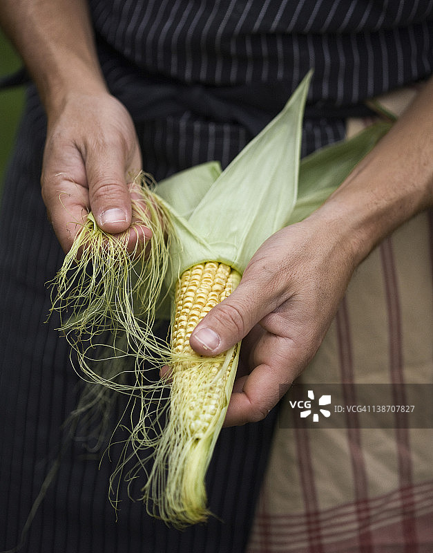手剥玉米棒图片素材