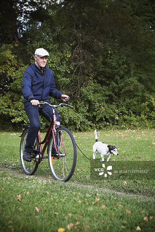 年长的男人骑自行车遛狗图片素材