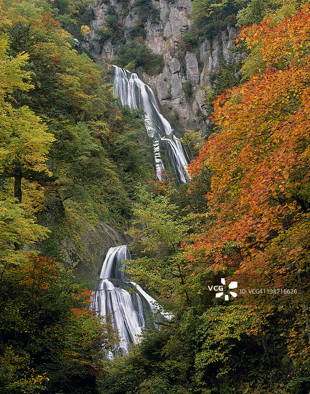日本北海道东川羽衣瀑布的秋叶图片素材
