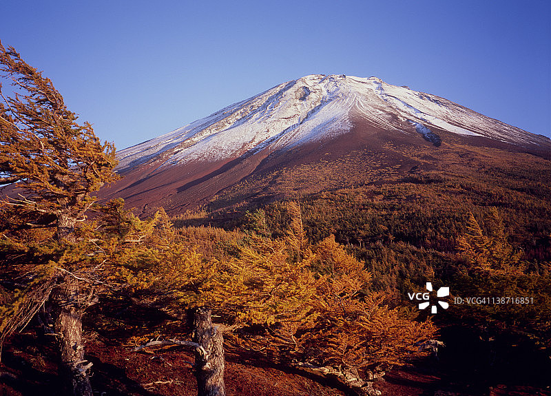 秋季富士山与大庭，鸣泽村，山梨县，日本图片素材