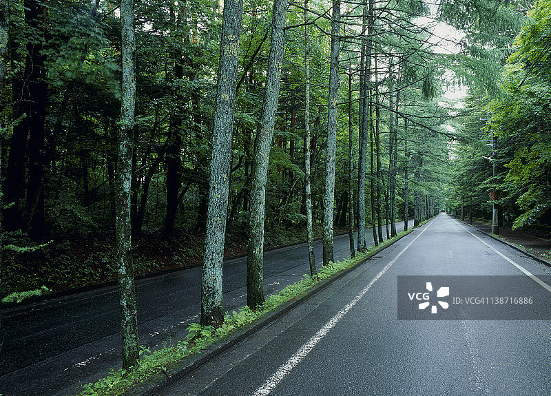 日本长野县轻井泽三笠街图片素材