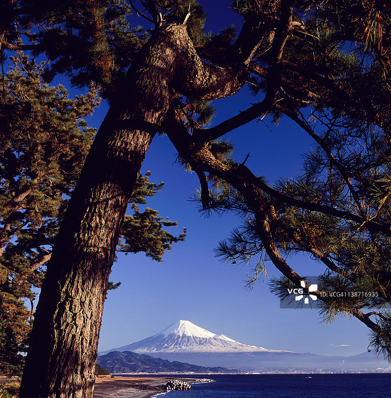 日本静冈县静冈市三保松原图片素材