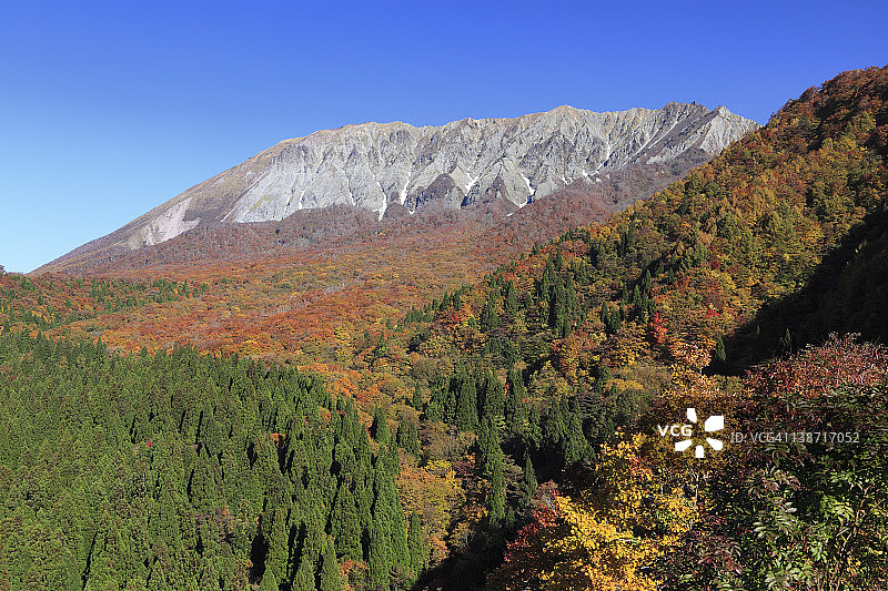 日本鸟取县大山上的秋叶图片素材