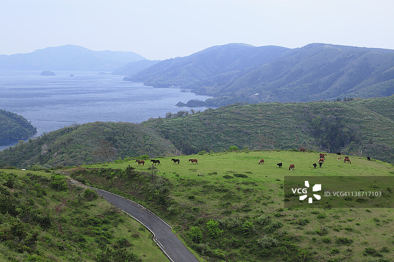 日本岛根县西之岛国贺海滩图片素材