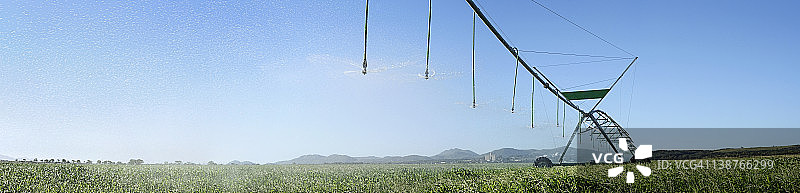 喷灌中的麦田图片素材