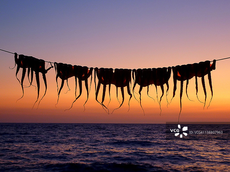 晾晒章鱼图片素材