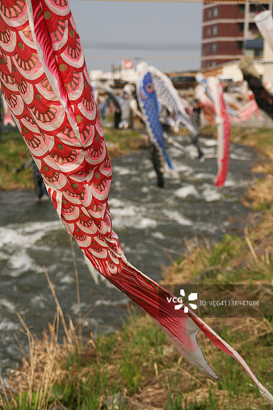 胜内川的鲤鱼旗图片素材