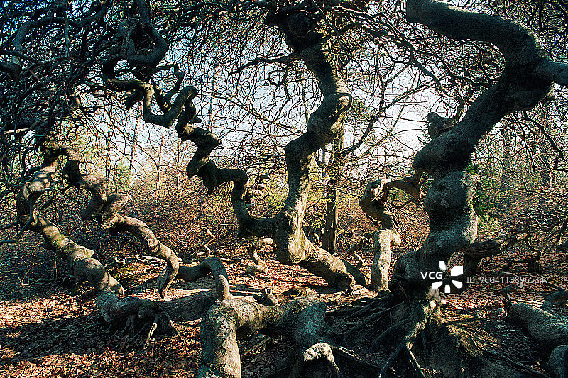 韦尔兹图片素材