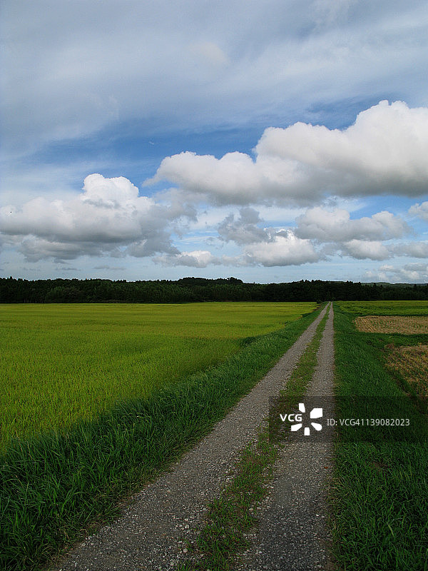 宁静的道路图片素材