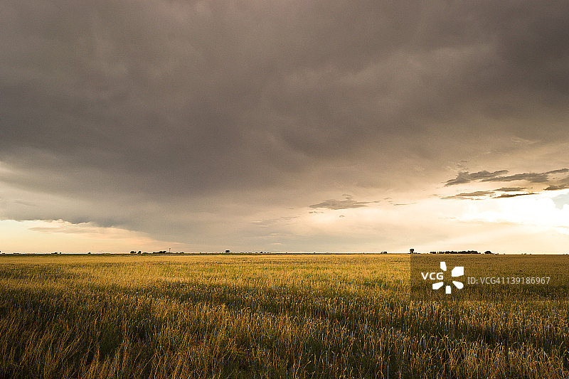 黑色天空下的麦田图片素材