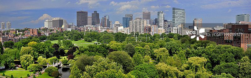 波士顿天际线和波士顿公共花园图片素材