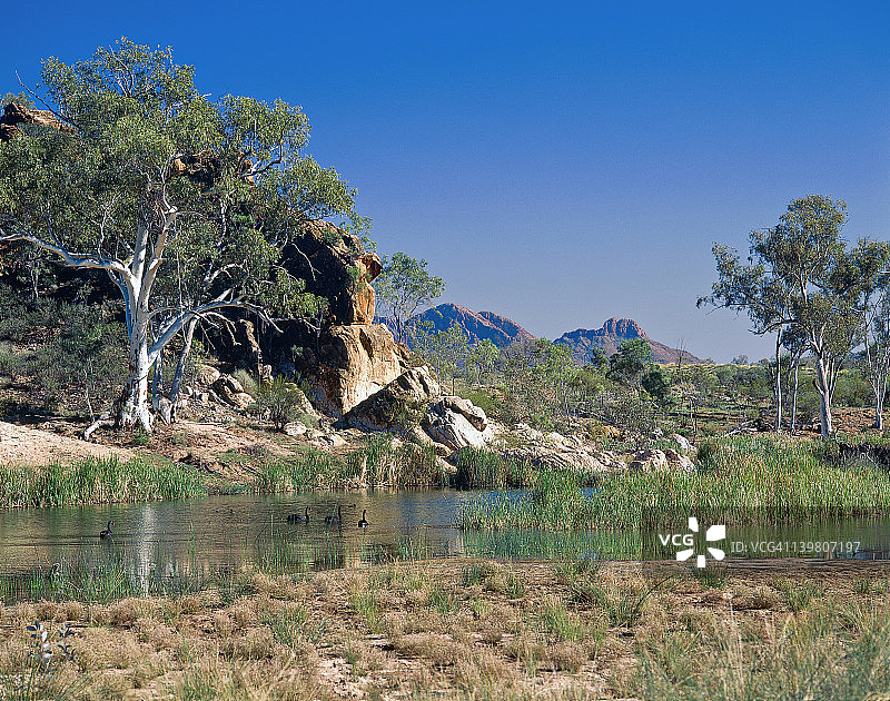 芬克河上的黑天鹅与桑德山，西麦克唐奈山脉，北领地图片素材
