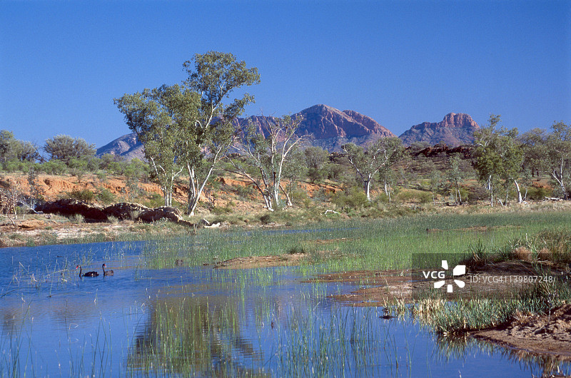 芬克河上的黑天鹅，西麦克唐奈山脉的桑德山图片素材