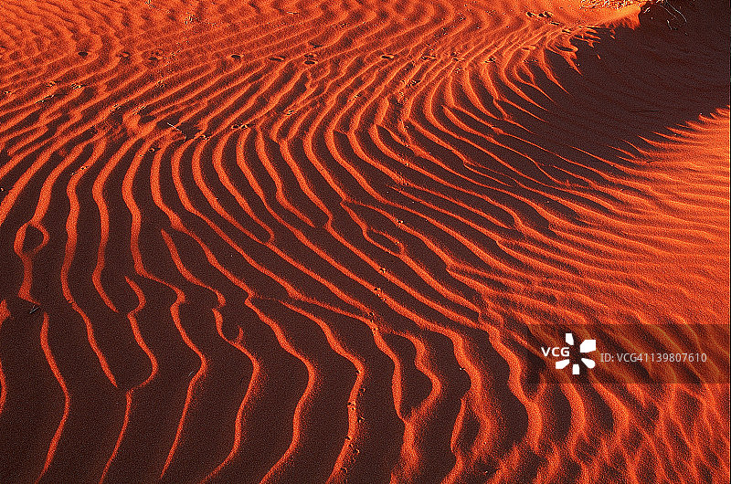 辛普森沙漠昆士兰沙丘的日落纹理图片素材