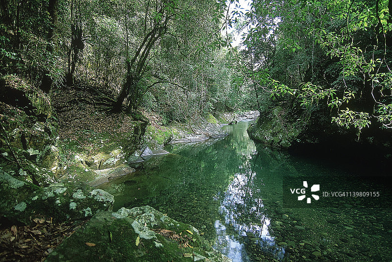 新南威尔士巴灵顿高地国家公园的威廉姆斯河图片素材