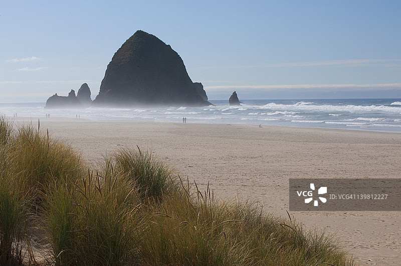 美国俄勒冈州坎农海滩上的海滩草和海上岩柱图片素材