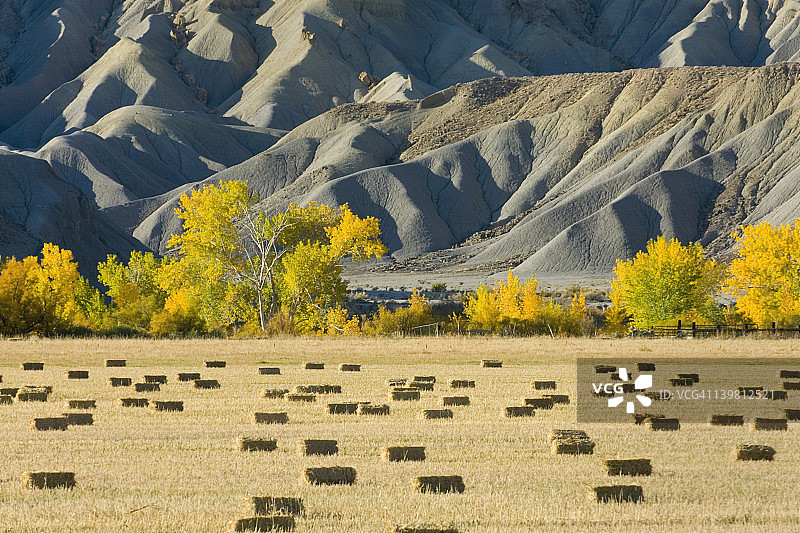 犹他州弗里蒙特河谷的干草捆图片素材