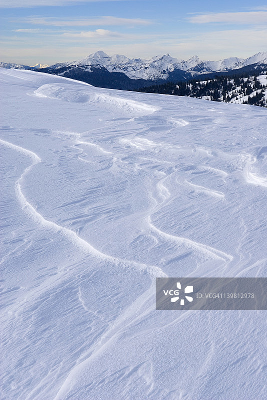 加拿大不列颠哥伦比亚省曼宁省立公园大巴克山脊上的风吹雪图片素材