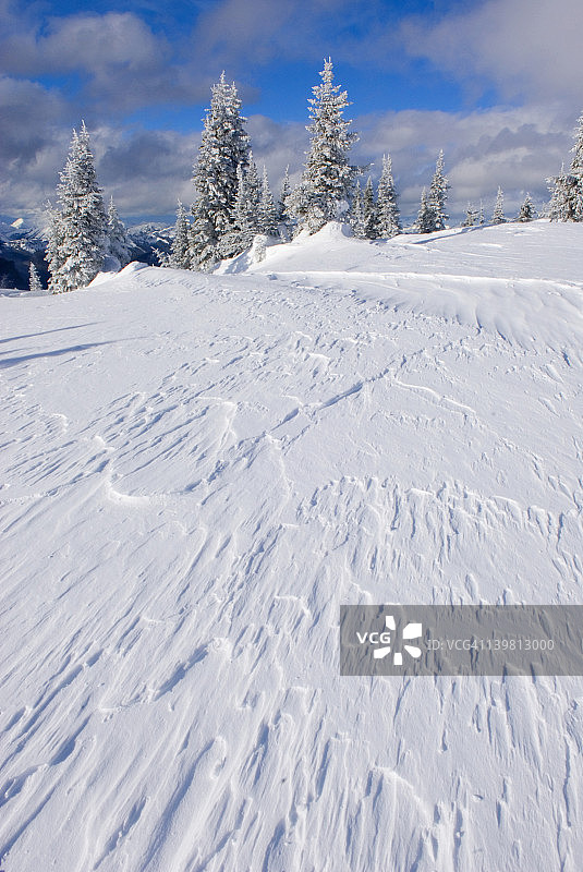 加拿大不列颠哥伦比亚省曼宁省立公园大巴克山脊上的风吹雪图片素材