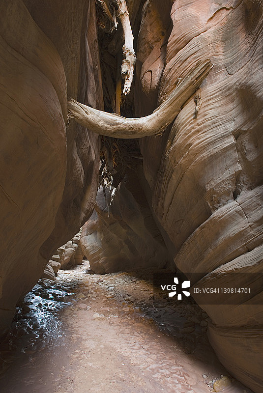 美国亚利桑那州帕里亚峡谷-朱红悬崖荒野的鹿皮峡谷图片素材