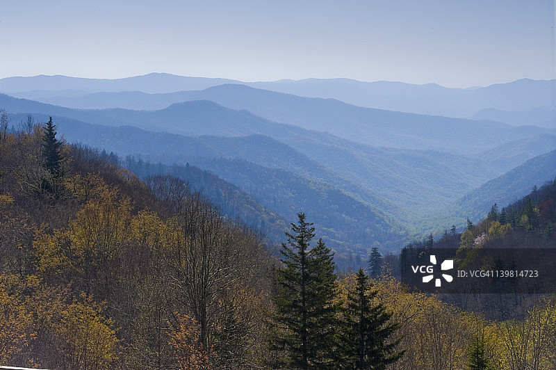 春季堆叠的山脉，大雾山国家公园，美国北卡罗来纳州一侧图片素材