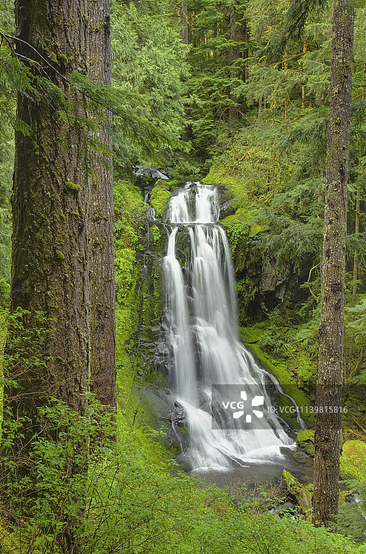 美国俄勒冈州休斯洛国家森林公园上肯塔基瀑布图片素材