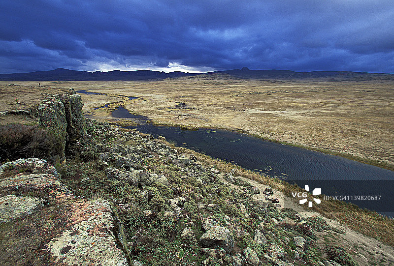 埃塞俄比亚巴莱山国家公园，韦德河青翅雁栖息地风光图片素材
